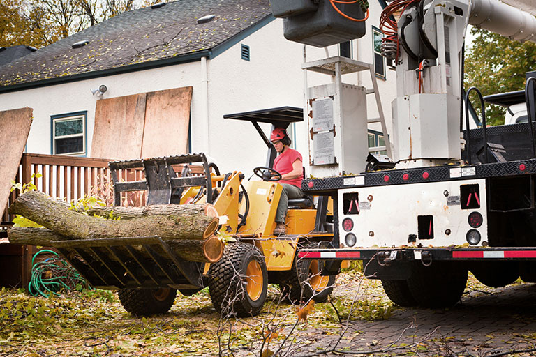  A contractor operates heavy machinery to remove tree trunks from a private property